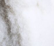 Extra fleece (100% wool)